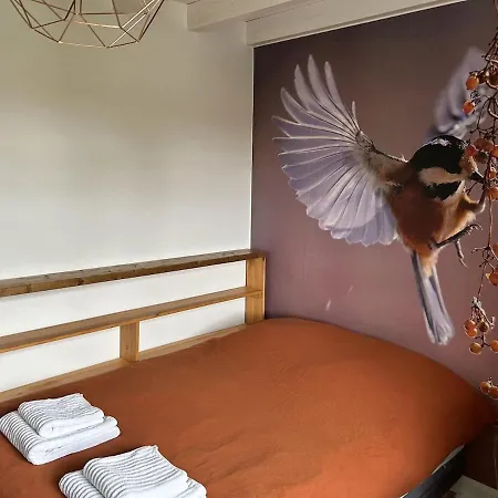 Landaise Renovee Au Calme, Piscine Chauffee, Climatisation Ferienhaus *