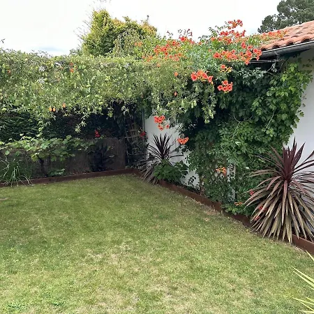 Landaise Renovee Au Calme, Piscine Chauffee, Climatisation Ferienhaus