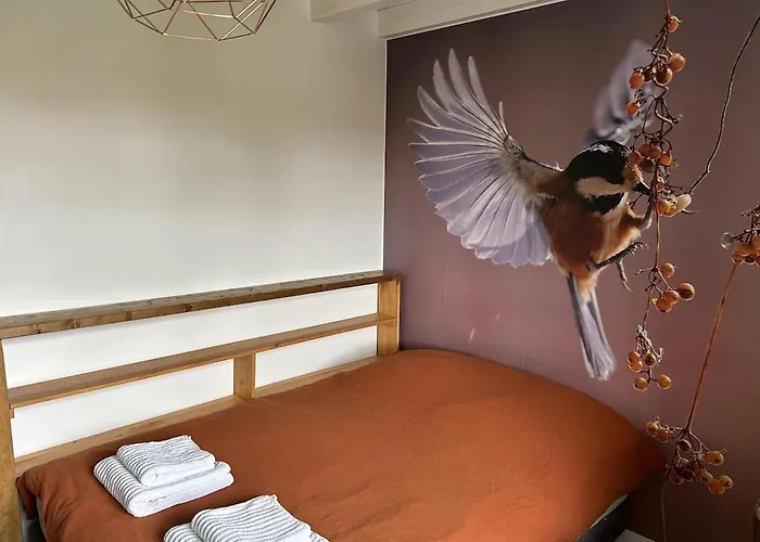 Landaise Renovee Au Calme, Piscine Chauffee, Climatisation Ferienhaus *