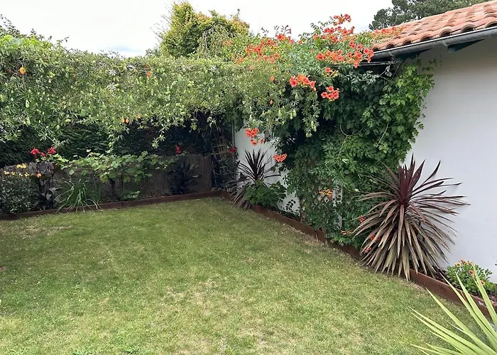 Landaise Renovee Au Calme, Piscine Chauffee, Climatisation Ferienhaus